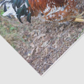 De hond (behalve een kip) tissuepapier (Detail)