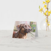 De Hond Brin Notecard van de Redding van Nowzad Kaart (Gele Bloem)