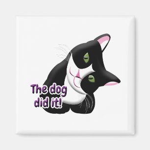 De hond deed het Cat Magneet