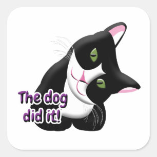 De hond deed het Cat Vierkante Sticker