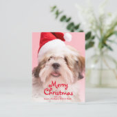 De Hond die van Apso van Lhasa het Pet van de Feestdagenkaart (Staand voorkant)