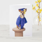 De hond die van Chihuahua eenvormige afstuderen Kaart (Gele Bloem)