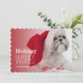 De hond die van Tzu van Shih een pet van de Feestdagenkaart (Staand voorkant)