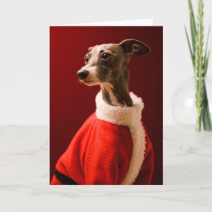 De hond draagt de kleren van de kerstman feestdagen kaart