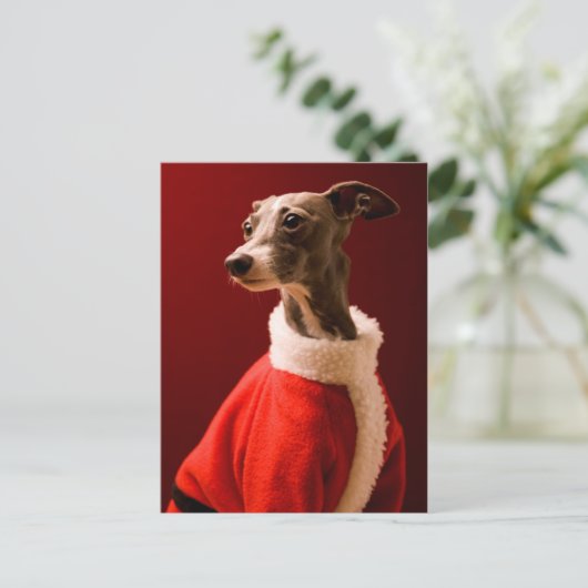 De hond draagt de kleren van de Kerstman Feestdagenkaart (Staand voorkant)