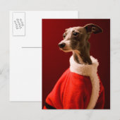 De hond draagt de kleren van de Kerstman Feestdagenkaart (Voorkant / Achterkant)