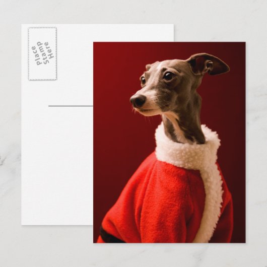 De hond draagt de kleren van de Kerstman Feestdagenkaart (Voorkant / Achterkant)