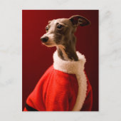 De hond draagt de kleren van de Kerstman Feestdagenkaart (Voorkant)