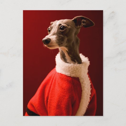 De hond draagt de kleren van de Kerstman Feestdagenkaart (Voorkant)