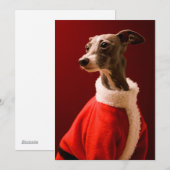 De hond draagt de kleren van Kerstman Feestdagenkaart (Voorkant / Achterkant)