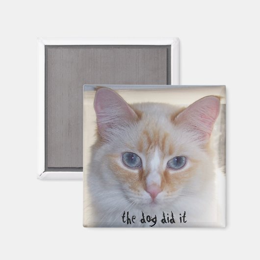 DE HOND HEEFT HET GEDAAN MAGNEET (Voorkant / Achterkant)