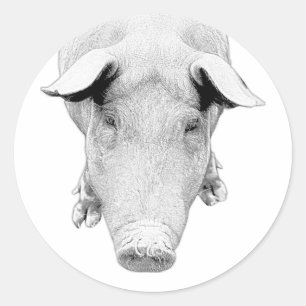 De hond in zwart-wit ronde sticker