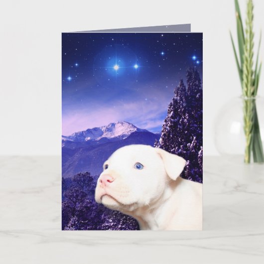 De hond is God gespelde achteruit… Feestdagen Kaart (Voorkant)