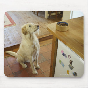 De hond kijkt naar eten op tafel. muismat