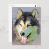 De Hond Malamute van Alaska Briefkaart (Voorkant / Achterkant)