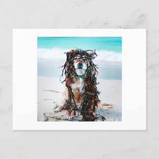 De hond met zeewier in haar haar feestdagenkaart