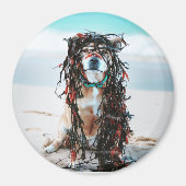 De hond met zeewier in haar haar. Staffy op het st Magneet (Voorkant)