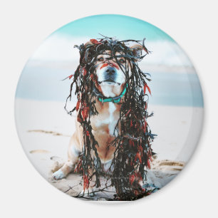 De hond met zeewier in haar haar. Staffy op het st Magneet