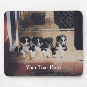 De Hond Mousepad van het "puppy" van border collie Muismat