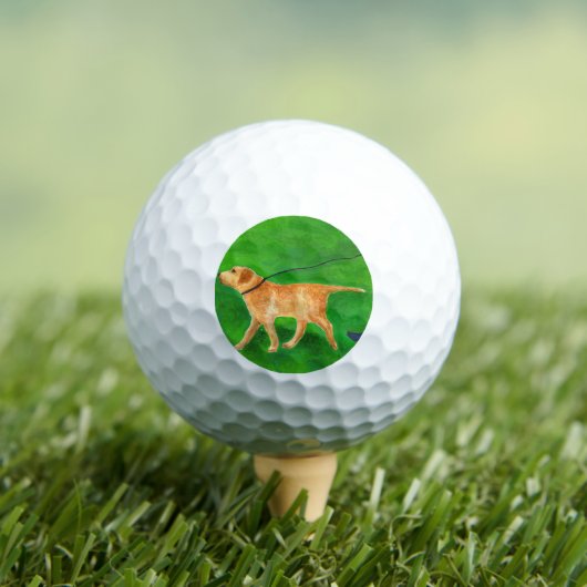 De hond uitlaten golfballen (Insitu Shirt)