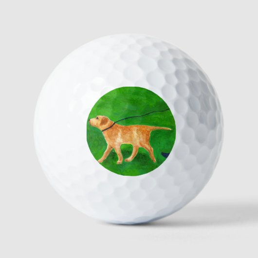 De hond uitlaten golfballen (Voorkant)