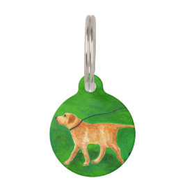 De hond uitlaten huisdierpenning