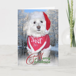 De Hond van Bichon Frise van Kerstmis Feestdagen Kaart