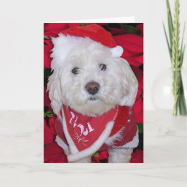 De Hond van Bichon Frise van Kerstmis Feestdagen Kaart
