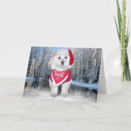 De Hond van Bichon Frise van Kerstmis Feestdagen Kaart