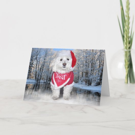 De Hond van Bichon Frise van Kerstmis Feestdagen Kaart (Voorkant)
