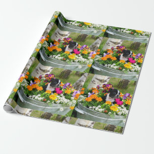 De hond van Boston Terrier Cadeaupapier