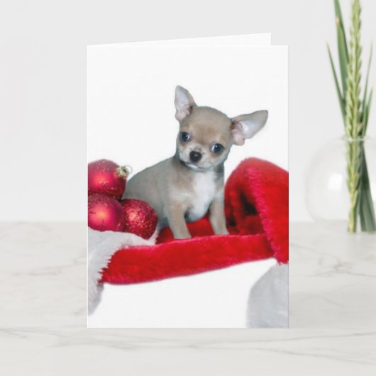 De hond van Chihuahua van Kerstmis Feestdagen Kaart (Voorkant)