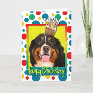 De Hond van de Berg Cupcake - Bernese van de Kaart