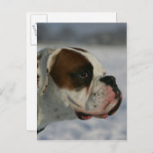 De Hond van de bokser in de Sneeuw Briefkaart (Voorkant / Achterkant)