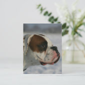 De Hond van de bokser in de Sneeuw Briefkaart (Staand voorkant)