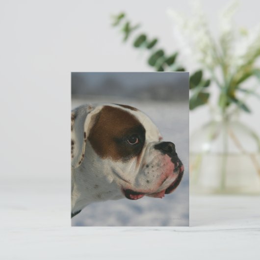De Hond van de bokser in de Sneeuw Briefkaart (Staand voorkant)