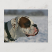 De Hond van de bokser in de Sneeuw Briefkaart (Voorkant)