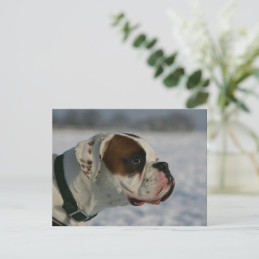 De Hond van de bokser in de Sneeuw Briefkaart (Staand voorkant)