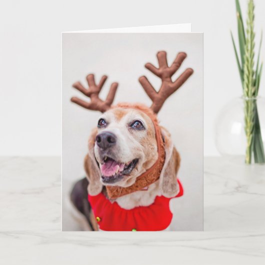 De hond van de Brak van Kerstmis met feestelijke Feestdagen Kaart (Voorkant)