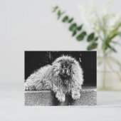 De Hond van de chow-chow op Zwart-witte Portiek, Briefkaart (Staand voorkant)