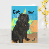 De Hond van de Kaart ~ Newfoundland van de (Gele Bloem)