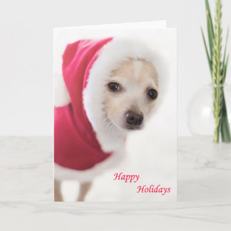 De Hond van de kerstman Feestdagen Kaart