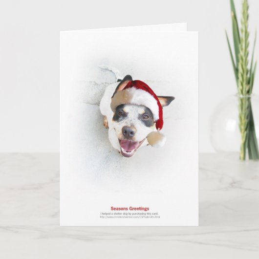 De Hond van de Schuilplaats van de vakantie Feestdagen Kaart (Voorkant)