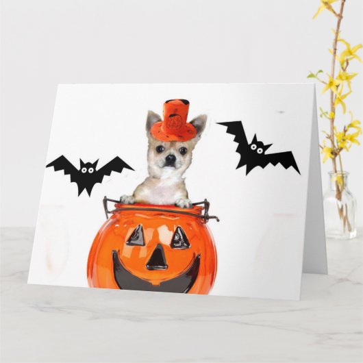 De hond van Halloween Chihuahua Kaart (Gele Bloem)