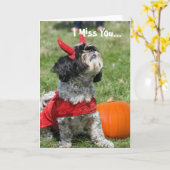 De hond van Halloween Shih Tzu Kaart (Gele Bloem)