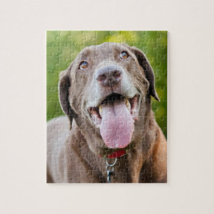 De Hond van het Laboratorium van de chocolade Legpuzzel