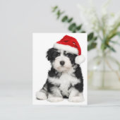 De Hond van het Puppy van Havanese van Kerstmis Feestdagenkaart (Staand voorkant)