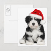 De Hond van het Puppy van Havanese van Kerstmis Feestdagenkaart (Voorkant / Achterkant)