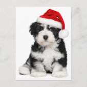 De Hond van het Puppy van Havanese van Kerstmis Feestdagenkaart (Voorkant)