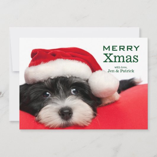De Hond van het Puppy van Havanese van Kerstmis Feestdagenkaart (Voorkant)